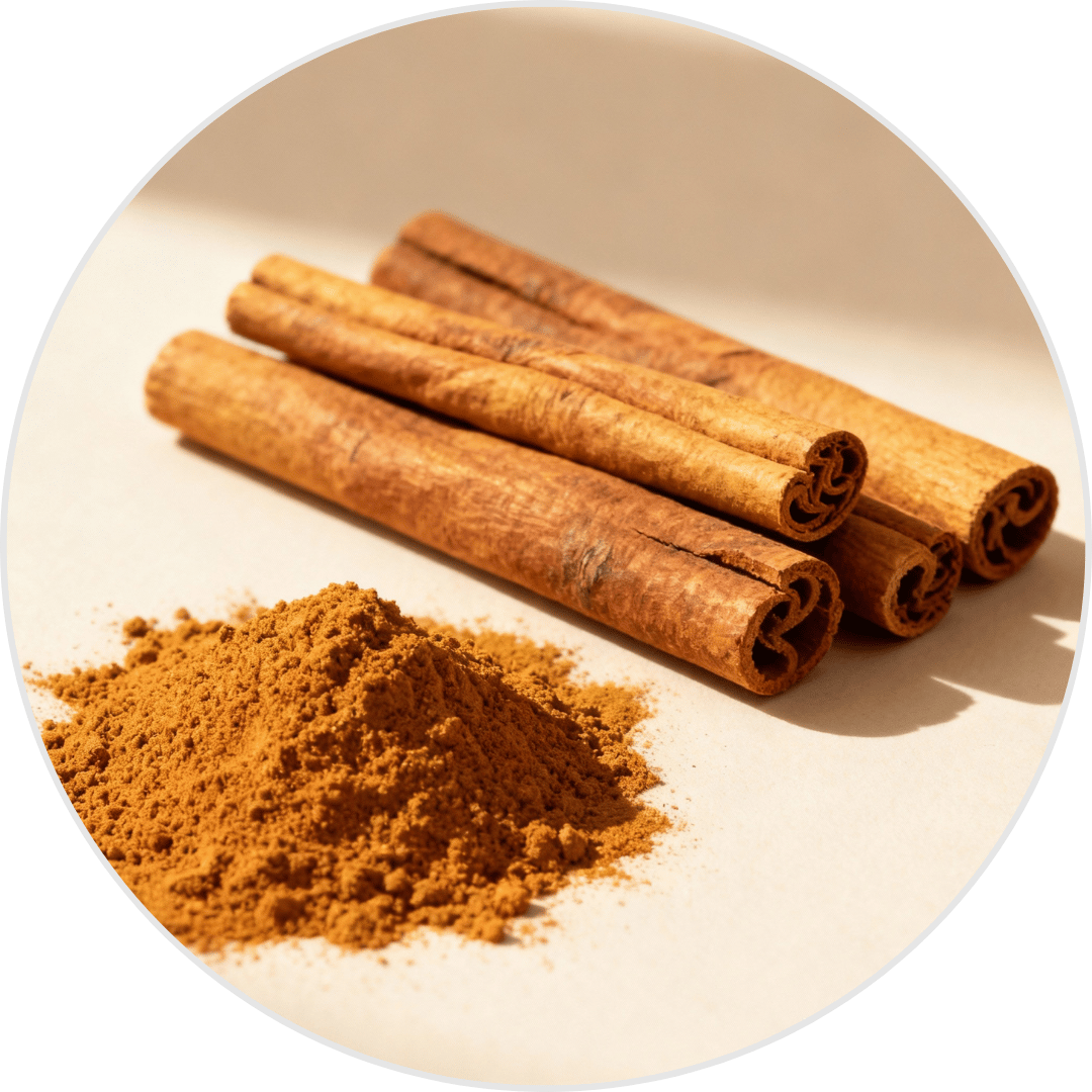 Extrait d’écorce de cannelle, ingrédient naturel présent dans la formule Glucavit