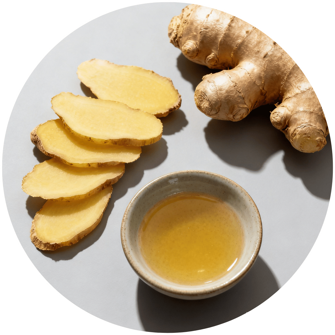 Extrait de racine de gingembre Zingiber officinale, ingrédient naturel de la formule Glucavit